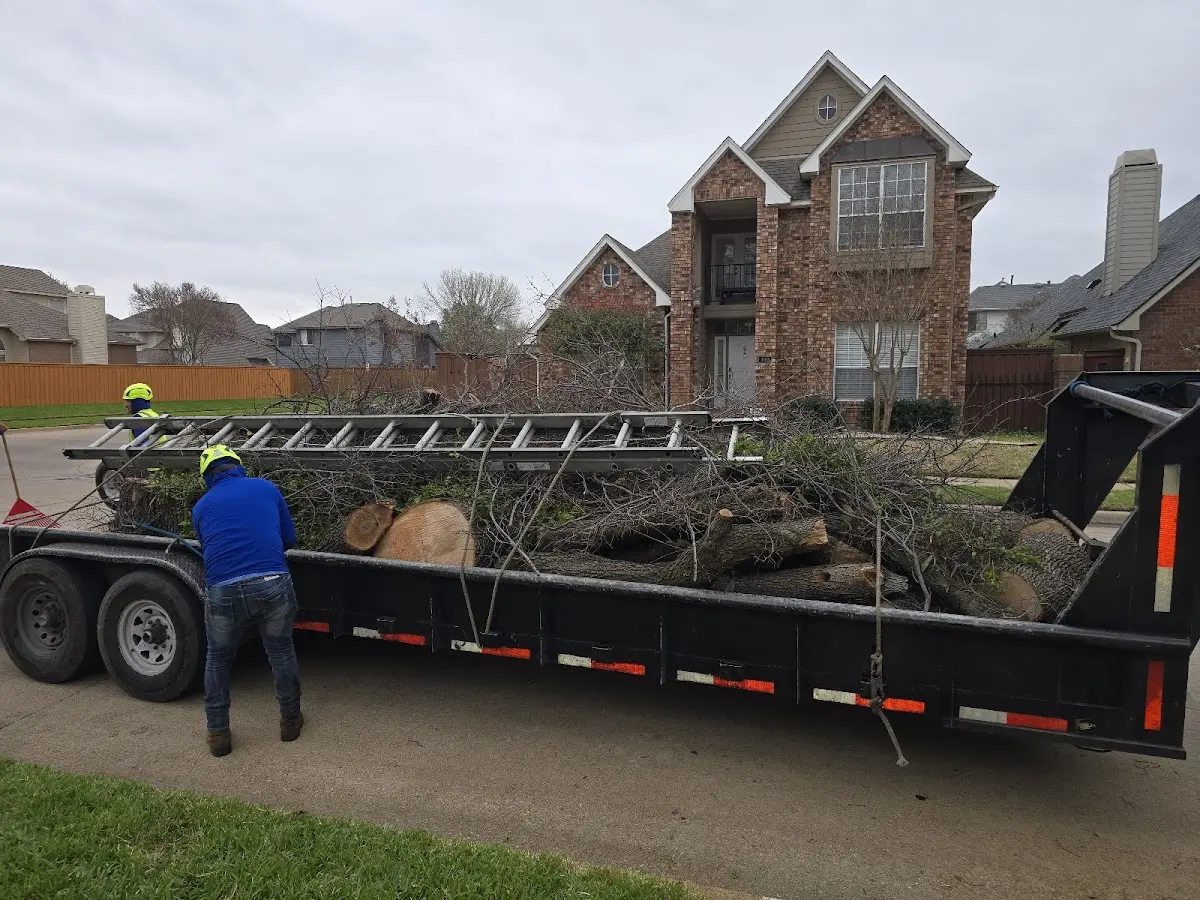 Expert Tree Fertilization with proper safety equipment in Chapman